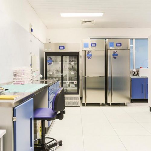 Fgservice Fg service F.g.service F.g. service Francesco Gurrì Francesco Gurri Francesco currì Arredi tecnologici Acciaio Aisi 304 18/10 Biberon Tettarelle Banche Banca del latte Donazione latte Sanità Forniture ospedaliere Ospedale Ospedali Elettromedicali Attrezzature Igiene paziente Cura del paziente Paziente allettato Seno Allattamento Allattare Reggio Calabria Pastorizzatore Morgue Centrali di Sterilizzazione
